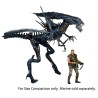 Figurine Aliens Ultra Deluxe Alien Queen