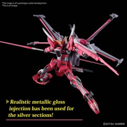 Maquette Gundam HG 1/144 Infinite Justice Gundam Type II