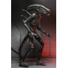 Figurine Alien: Romulus Ultimate Xenomorph XX121